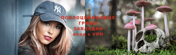 2c-b Покровск