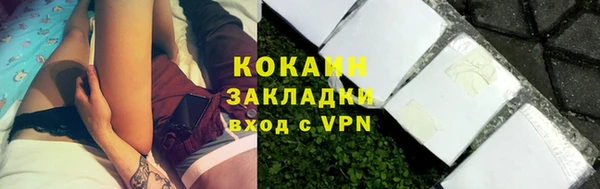стафф Покачи