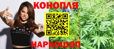 спиды Гагарин