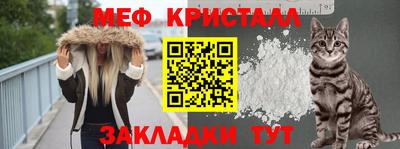 спиды Гагарин