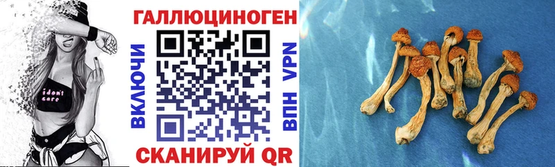 Псилоцибиновые грибы MAGIC MUSHROOMS  мега   это наркотические препараты  Комсомольск-на-Амуре 