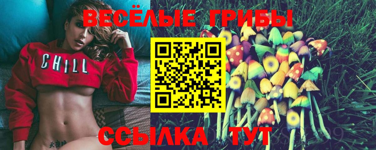 Псилоцибиновые грибы MAGIC MUSHROOMS  Вход с VPN  Комсомольск-на-Амуре 