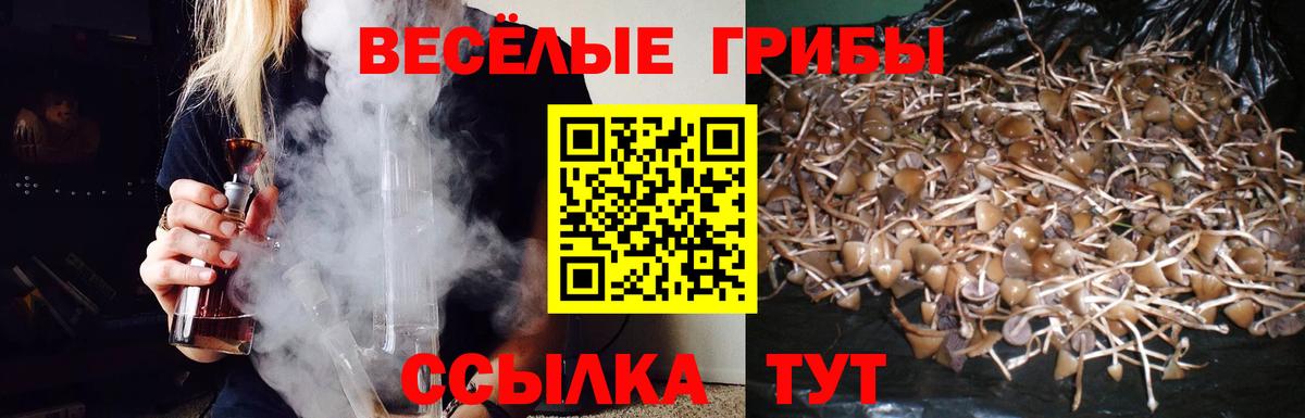 Галлюциногенные грибы Psilocybe Комсомольск-на-Амуре